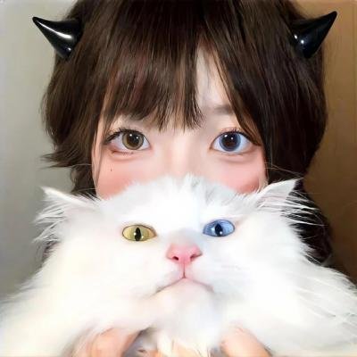 大桥梁